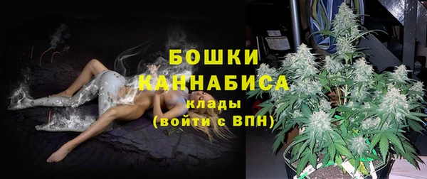 молекула духа Куйбышев