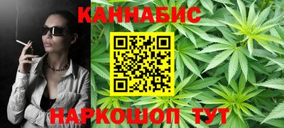 крисы Гагарин