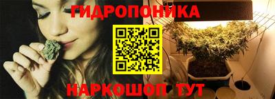крисы Гагарин