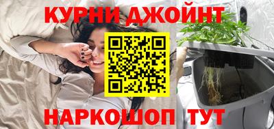 крисы Гагарин