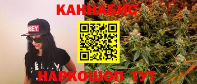крисы Гагарин