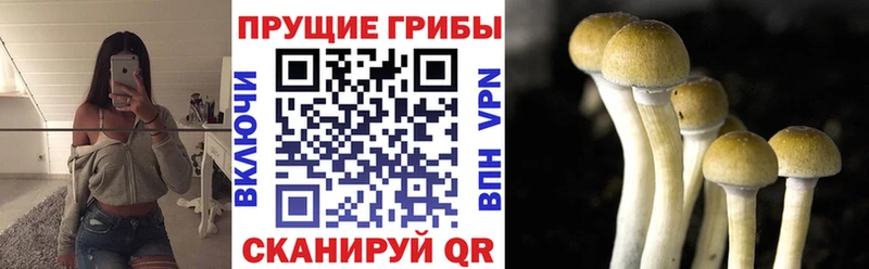 Галлюциногенные грибы GOLDEN TEACHER  Кызыл 