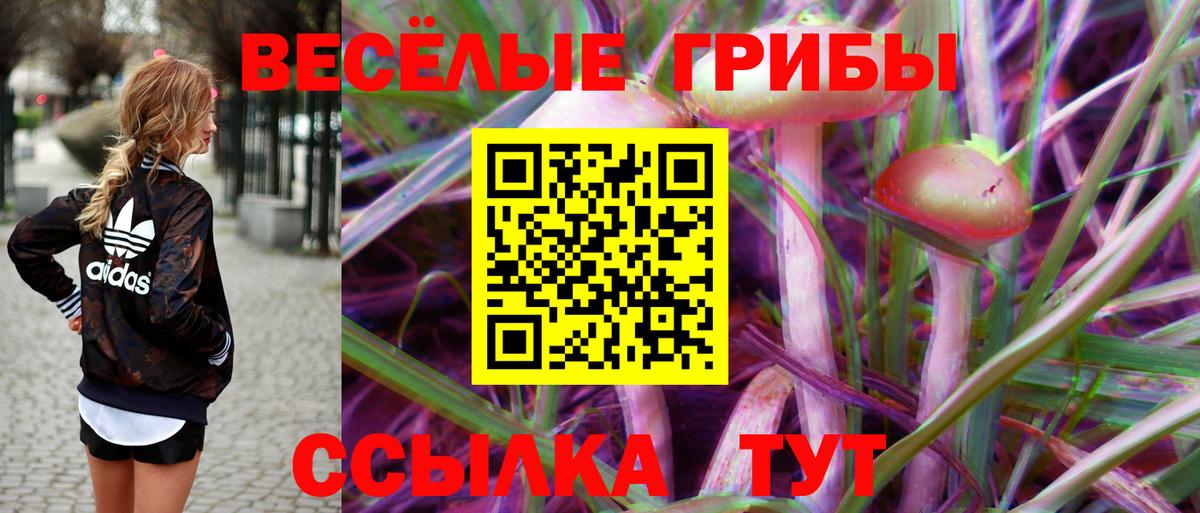 купить  сайты  Галлюциногенные грибы Cubensis  Кызыл  Галлюциногенные грибы GOLDEN TEACHER 