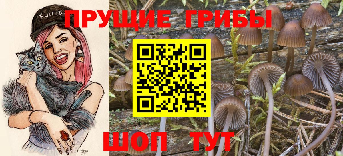 Галлюциногенные грибы MAGIC MUSHROOMS Кызыл