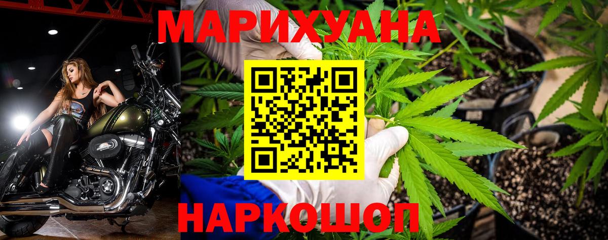 Шишки марихуана сатива  Вход с VPN  Кызыл  МАРИХУАНА сатива  Марихуана гибрид 