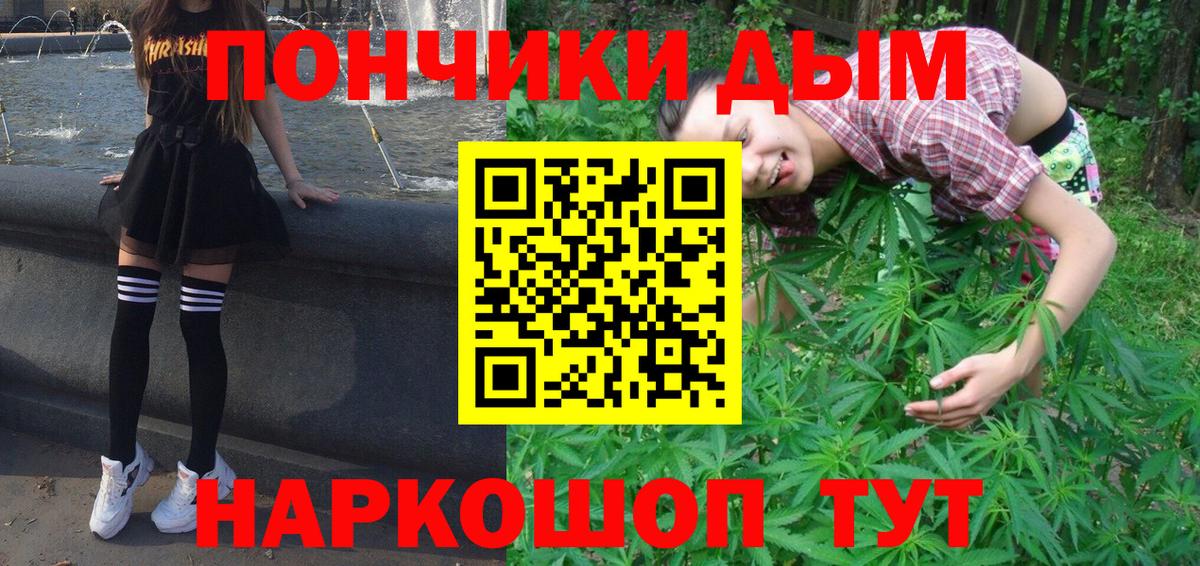 Бошки Шишки Amnesia  Кызыл  Шишки марихуана марихуана  Конопля THC 21% 